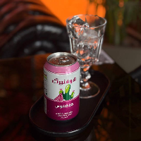 قوطی کاکتوس